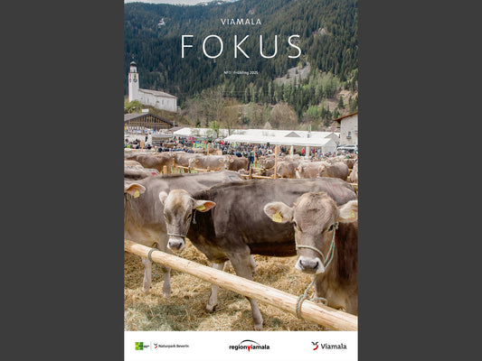 LT Viamala Fokus Frühling 2025