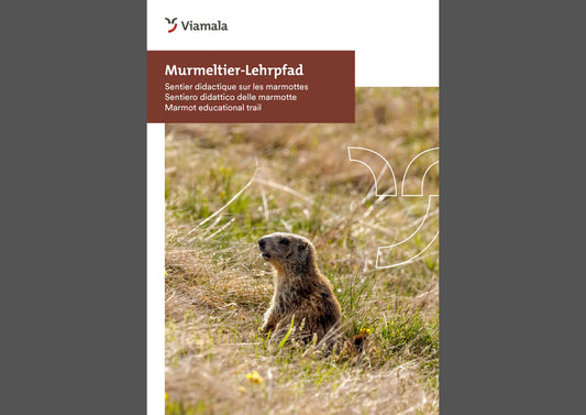 Murmeltier-Lehrpfad Avers