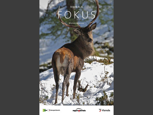 Viamala Fokus Herbst/Winter 2025/26