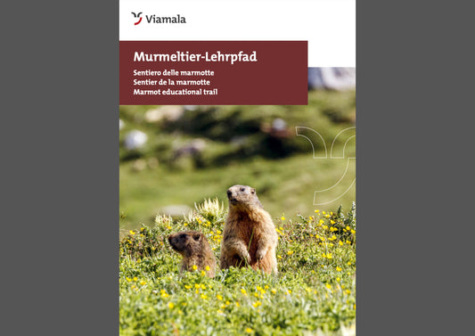 Murmeltier-Lehrpfad Avers